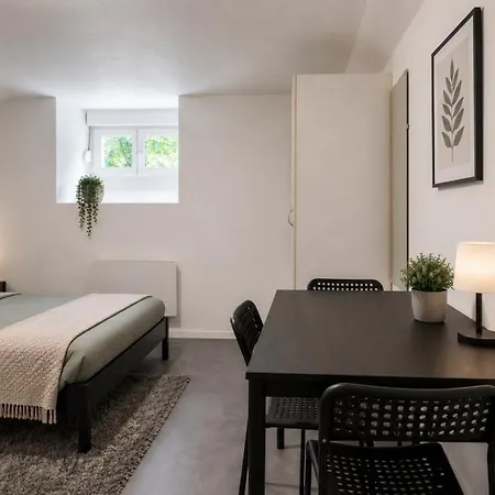 Apartman Deluxe Studio, Naturellement Frais, Parking Prive Gratuit, Centre *